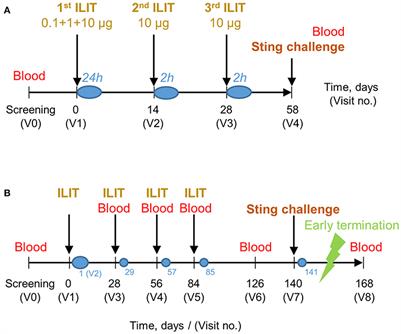 Intralymphatic Immunotherapy (ILIT) With Bee Venom Allergens: A Clinical Proof-of-Concept Study and the Very First ILIT in Humans